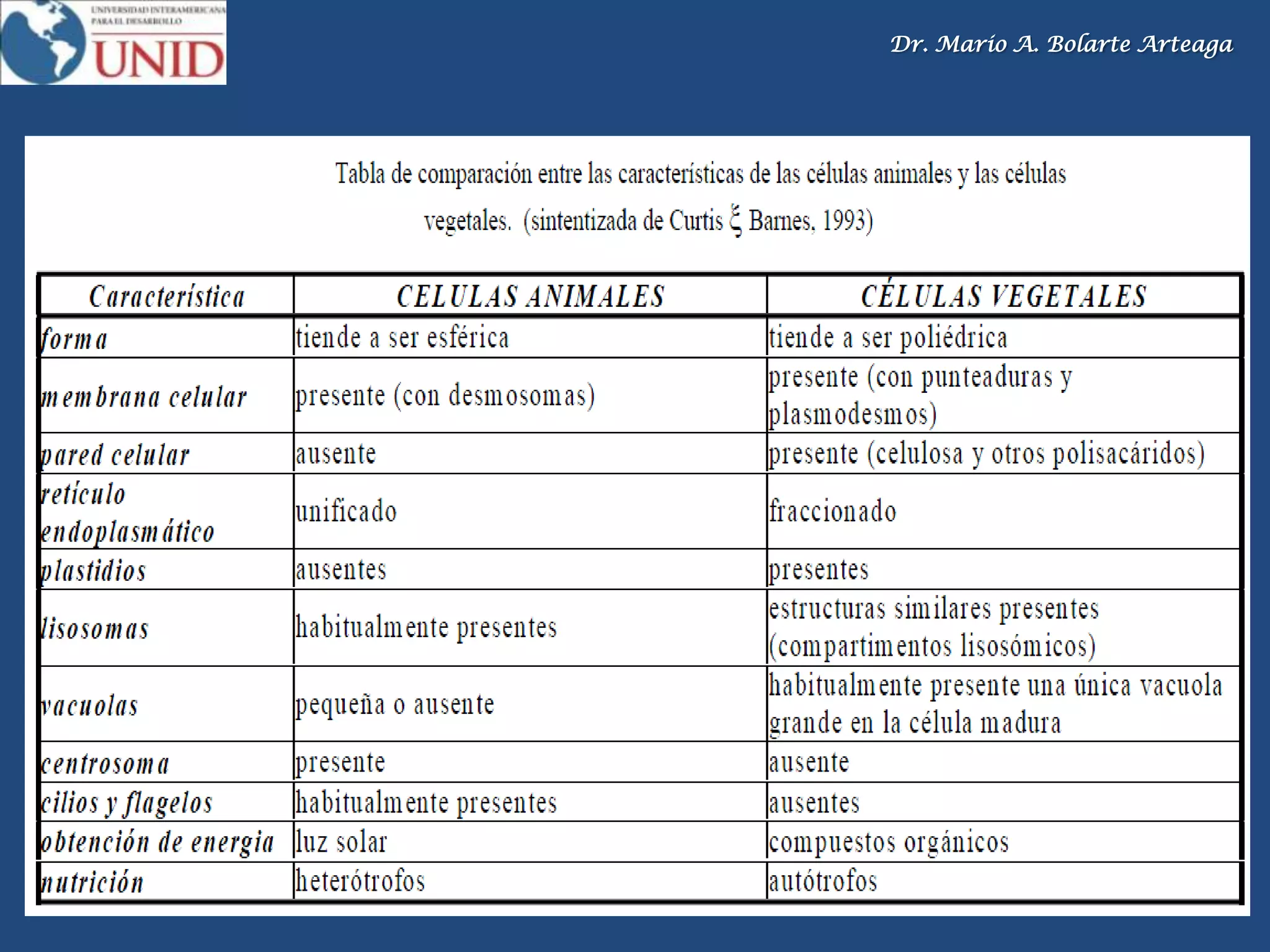 Dr. Mario A. Bolarte Arteaga