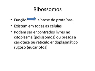 Ribossomos
• Função        síntese de proteínas
• Existem em todas as células
• Podem ser encontrados livres no
  citoplas...