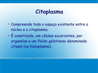 Citoplasma


    Compreende todo o espaço existente entre o
    núcleo e o citoplasma;

    É constituído, em células eucariontes, por
    organelas e um fluído gelatinoso denominado
    citosol (ou hialoplasma).
 