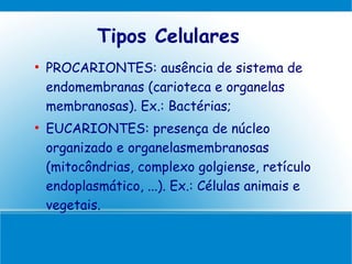 Tipos Celulares

    PROCARIONTES: ausência de sistema de
    endomembranas (carioteca e organelas
    membranosas). Ex.: Bactérias;

    EUCARIONTES: presença de núcleo
    organizado e organelasmembranosas
    (mitocôndrias, complexo golgiense, retículo
    endoplasmático, ...). Ex.: Células animais e
    vegetais.
 