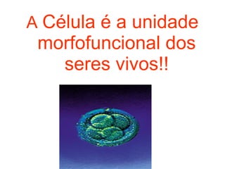 A Célula é a unidade
 morfofuncional dos
   seres vivos!!
 