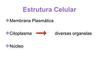 Estrutura Celular
Membrana Plasmática

Citoplasma            diversas organelas

Núcleo
 