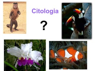 Citologia

  ?
 