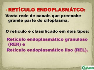 Vasta rede de canais que preenche
 grande parte do citoplasma.

O retículo é classificado em dois tipos:
 