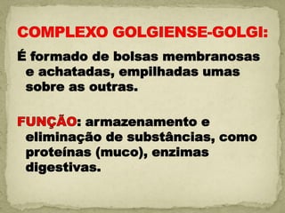 É formado de bolsas membranosas
 e achatadas, empilhadas umas
 sobre as outras.

         : armazenamento e
 eliminação de substâncias, como
 proteínas (muco), enzimas
 digestivas.
 