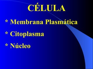 CÉLULA * Membrana Plasmática * Citoplasma * Núcleo 