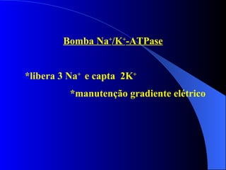 Bomba Na + /K + -ATPase *libera 3 Na +  e capta  2K + *manutenção gradiente elétrico 
