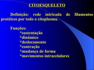 CITOESQUELETO Definição: rede intricada de filamentos protéicos por todo o citoplasma. Funções: *sustentação *dinâmico *deslocamento *contração *mudança de forma *movimentos intracelulares 