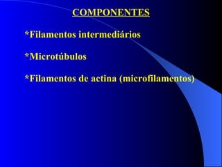 COMPONENTES *Filamentos intermediários *Microtúbulos *Filamentos de actina (microfilamentos) 