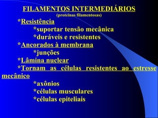 FILAMENTOS INTERMEDIÁRIOS (proteínas filamentosas) * Resistência *suportar tensão mecânica *duráveis e resistentes * Ancorados à membrana *junções * Lâmina nuclear * Tornam as células resistentes ao estresse mecânico *axônios *células musculares *células epiteliais 