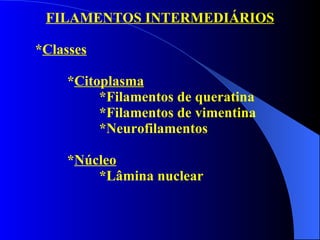 FILAMENTOS INTERMEDIÁRIOS * Classes * Citoplasma *Filamentos de queratina *Filamentos de vimentina *Neurofilamentos * Núcleo *Lâmina nuclear 