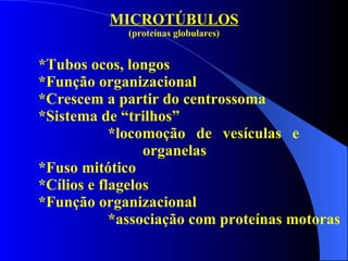 MICROTÚBULOS (proteínas globulares) *Tubos ocos, longos *Função organizacional *Crescem a partir do centrossoma *Sistema de “trilhos” *locomoção de vesículas e  organelas *Fuso mitótico *Cílios e flagelos *Função organizacional *associação com proteínas motoras 