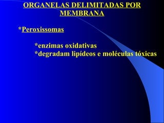 ORGANELAS DELIMITADAS POR MEMBRANA * Peroxissomas *enzimas oxidativas *degradam lipídeos e moléculas tóxicas 