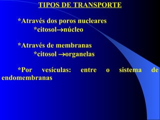 TIPOS DE TRANSPORTE *Através dos poros nucleares *citosol  núcleo *Através de membranas *citosol   organelas *Por vesículas: entre o sistema de endomembranas 