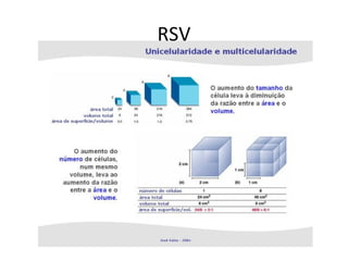 RSV