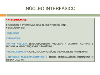 NÚCLEO INTERFÁSICO
 NUCLEOPLASMA:
# SOLUÇÃO  PROTEÍNAS, RNA, NUCLEOTÍDEOS, ÍONS...
# ENCONTRA-SE:
-NUCLÉOLO
-CROMATINA
-MATRIZ NUCLEAR (ENDOESQUELETO NUCLEAR) = LAMINAS, ACTNINA E
MIOSINA  MAUNTENÇÃO DA CROMÁTIDE.
-PROTEOSSOMOS = AGREGADOS PROTEÍCOS (HIDROLISE DE PROTEÍNAS)
- RETÍCULO NUCLEOPLASMÁTICO = TUBOS MEMBRANOSOS (ARMAZENA E
LIBERA CÁLCIO)
 NUCLEOPLASMA:
# SOLUÇÃO  PROTEÍNAS, RNA, NUCLEOTÍDEOS, ÍONS...
# ENCONTRA-SE:
-NUCLÉOLO
-CROMATINA
-MATRIZ NUCLEAR (ENDOESQUELETO NUCLEAR) = LAMINAS, ACTNINA E
MIOSINA  MAUNTENÇÃO DA CROMÁTIDE.
-PROTEOSSOMOS = AGREGADOS PROTEÍCOS (HIDROLISE DE PROTEÍNAS)
- RETÍCULO NUCLEOPLASMÁTICO = TUBOS MEMBRANOSOS (ARMAZENA E
LIBERA CÁLCIO)
 