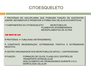 CITOESQUELETO
 PROTEÍNAS NO HIALOPLASMA QUE POSSUEM FUNÇÃO DE SUSTENTAR,
ADERIR, MOVIMENTAR E PROMOVER A FORMA DAS CÉLULAS EUCARIÓTICAS.
 COMPONENTES DO CITOESQUELETO: MICROTÚBULOS
FILAMENTOS INTERMEDIÁRIOS
MICROFILAMENTOS DE ACTINA
MICROTÚBULOS
# PROTEÍNAS  TUBULINAS (HETERODÍMERO);
# CONSTANTE REGENERAÇÃO: EXTREMIDADE POSITIVA E EXTREMIDADE
NEGATIVA;
# CENTRO ORGANIZADOR DOS MICROTÚBULOS (MTOC) = CENTROSSOMO
# FUNÇÃO: FORMAÇÃO DE CÍLIOS, FLAGELOS E CENTRÍOLOS
TRANSPORTE INTRACELULAR
DESLOCAMENTO DE CROMOSSOMOS DURANTE A D.C.
MORFOLOGIA CELULAR
 PROTEÍNAS NO HIALOPLASMA QUE POSSUEM FUNÇÃO DE SUSTENTAR,
ADERIR, MOVIMENTAR E PROMOVER A FORMA DAS CÉLULAS EUCARIÓTICAS.
 COMPONENTES DO CITOESQUELETO: MICROTÚBULOS
FILAMENTOS INTERMEDIÁRIOS
MICROFILAMENTOS DE ACTINA
MICROTÚBULOS
# PROTEÍNAS  TUBULINAS (HETERODÍMERO);
# CONSTANTE REGENERAÇÃO: EXTREMIDADE POSITIVA E EXTREMIDADE
NEGATIVA;
# CENTRO ORGANIZADOR DOS MICROTÚBULOS (MTOC) = CENTROSSOMO
# FUNÇÃO: FORMAÇÃO DE CÍLIOS, FLAGELOS E CENTRÍOLOS
TRANSPORTE INTRACELULAR
DESLOCAMENTO DE CROMOSSOMOS DURANTE A D.C.
MORFOLOGIA CELULAR
 