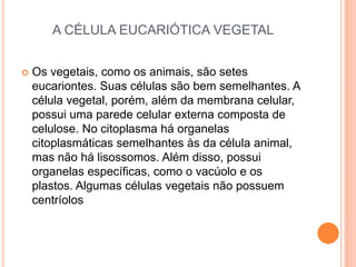 A CÉLULA EUCARIÓTICA VEGETAL
 Os vegetais, como os animais, são setes
eucariontes. Suas células são bem semelhantes. A
célula vegetal, porém, além da membrana celular,
possui uma parede celular externa composta de
celulose. No citoplasma há organelas
citoplasmáticas semelhantes às da célula animal,
mas não há lisossomos. Além disso, possui
organelas específicas, como o vacúolo e os
plastos. Algumas células vegetais não possuem
centríolos
 
