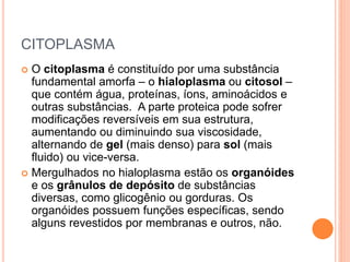 CITOPLASMA
 O citoplasma é constituído por uma substância
fundamental amorfa – o hialoplasma ou citosol –
que contém água, proteínas, íons, aminoácidos e
outras substâncias. A parte proteica pode sofrer
modificações reversíveis em sua estrutura,
aumentando ou diminuindo sua viscosidade,
alternando de gel (mais denso) para sol (mais
fluido) ou vice-versa.
 Mergulhados no hialoplasma estão os organóides
e os grânulos de depósito de substâncias
diversas, como glicogênio ou gorduras. Os
organóides possuem funções específicas, sendo
alguns revestidos por membranas e outros, não.
 