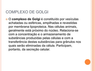 COMPLEXO DE GOLGI
 O complexo de Golgi é constituído por vesículas
achatadas ou esféricas, empilhadas e revestidas
por membrana lipoproteica. Nas células animais,
geralmente está próximo do núcleo. Relaciona-se
com a concentração e o armazenamento de
substâncias produzidas pelas células e com a
transferência destas substâncias para grânulos nos
quais serão eliminadas da célula. Participam,
portanto, da secreção celular.
 