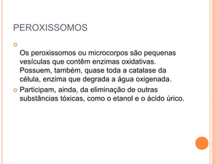 PEROXISSOMOS

Os peroxissomos ou microcorpos são pequenas
vesículas que contêm enzimas oxidativas.
Possuem, também, quase toda a catalase da
célula, enzima que degrada a água oxigenada.
 Participam, ainda, da eliminação de outras
substâncias tóxicas, como o etanol e o ácido úrico.
 