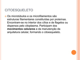 CITOESQUELETO
 Os microtúbulos e os microfilamentos são
estruturas filamentares constituídas por proteínas.
Encontram-se no interior dos cílios e de flagelos ou
dispersos pelo citoplasma. Participam dos
movimentos celulares e da manutenção da
arquitetura celular, formando o citoesqueleto.
 