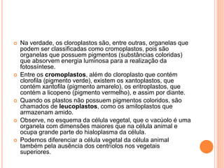  Na verdade, os cloroplastos são, entre outras, organelas que
podem ser classificadas como cromoplastos, pois são
organelas que possuem pigmentos (substâncias coloridas)
que absorvem energia luminosa para a realização da
fotossíntese.
 Entre os cromoplastos, além do cloroplasto que contém
clorofila (pigmento verde), existem os xantoplastos, que
contém xantofila (pigmento amarelo), os eritroplastos, que
contém a licopeno (pigmento vermelho), e assim por diante.
 Quando os plastos não possuem pigmentos coloridos, são
chamados de leucoplastos, como os amiloplastos que
armazenam amido.
 Observe, no esquema da célula vegetal, que o vacúolo é uma
organela com dimensões maiores que na célula animal e
ocupa grande parte do hialoplasma da célula.
 Podemos diferenciar a célula vegetal da célula animal
também pela ausência dos centríolos nos vegetais
superiores.
 