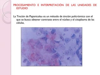 PROCESAMIENTO E INTERPRETACIÓN DE LAS UNIDADES DE 
ESTUDIO 
La Tinción de Papanicolau es un método de tinción policrómico con el 
que se busca obtener contraste entre el núcleo y el citoplasma de las 
células. 
 