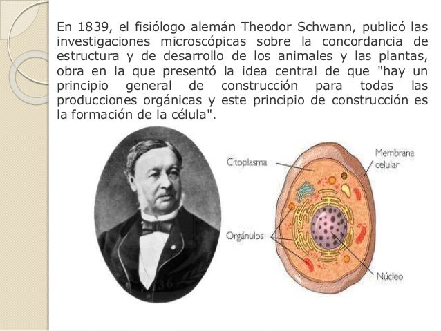 Citologia
