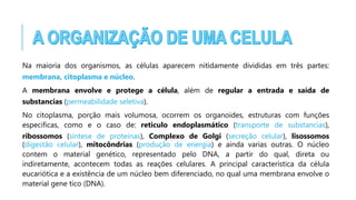 Na maioria dos organismos, as células aparecem nitidamente divididas em três partes:
membrana, citoplasma e núcleo.
A membrana envolve e protege a célula, além de regular a entrada e saída de
substancias (permeabilidade seletiva).
No citoplasma, porção mais volumosa, ocorrem os organoides, estruturas com funções
especificas, como e o caso de: reticulo endoplasmático (transporte de substancias),
ribossomos (síntese de proteínas), Complexo de Golgi (secreção celular), lisossomos
(digestão celular), mitocôndrias (produção de energia) e ainda varias outras. O núcleo
contem o material genético, representado pelo DNA, a partir do qual, direta ou
indiretamente, acontecem todas as reações celulares. A principal característica da célula
eucariótica e a existência de um núcleo bem diferenciado, no qual uma membrana envolve o
material gene tico (DNA).
 