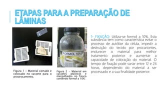 Figura 1 - Material cortado e
colocado no cassete para o
processamento.
1- FIXAÇÃO: Utiliza-se formol a 10%. Esta
substância tem como característica evitar o
processo de autólise da célula, impedir a
destruição do tecido por procariontes,
endurecer o material para melhor
tratamento posterior e aumentar a
capacidade de coloração do material. O
tempo de fixação pode variar entre 12 e 24
horas, dependendo do material a ser
processado e a sua finalidade posterior.Figura 2 - Material em
cassetes plásticos e
mergulhados no frasco
contendo formol a 10%.
 
