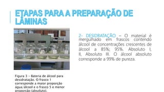 Figura 3 - Bateria de álcool para
desidratação. O frasco 1
corresponde a maior proporção
água/álcool e o frasco 5 e menor
proporção (absoluto).
2- DESIDRATAÇÃO – O material é
mergulhado em frascos contendo
álcool de concentrações crescentes de
álcool a 85%; 95%. Absoluto I,
II, Absoluto III. O álcool absoluto
corresponde a 99% de pureza.
 