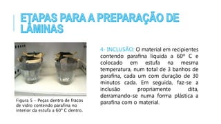 Figura 5 - Peças dentro de fracos
de vidro contendo parafina no
interior da estufa a 60º C dentro.
4- INCLUSÃO: O material em recipientes
contendo parafina líquida a 60º C e
colocado em estufa na mesma
temperatura, num total de 3 banhos de
parafina, cada um com duração de 30
minutos cada. Em seguida, faz-se a
inclusão propriamente dita,
derramando-se numa forma plástica a
parafina com o material.
 