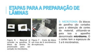 Figura 6 - Material já
incluído na parafina. O
bloco da direita foi
processado para ser
cortado no micrótomo.
5- MICROTOMIA: Os blocos
de parafina são cortados
para a obtenção de cortes
da material, utilizando-se
para isso o aparelho
denominado micrótomo. O
s cortes tem a espessura de
5 a 6 micrômetros.
Figura 7 - Corte do bloco
em tiras de 6 micrômetros
de espessura.
 