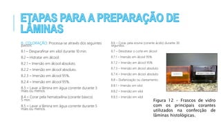 8- COLORAÇÃO: Processa-se através dos seguintes
passos:
8.1 – Desparafinar em xilol durante 10 min.
8.2 – Hidratar em álcool.
8.2.1 – Imersão em álcool absoluto.
8.2.2 – Imersão em álcool absoluto.
8.2.3 – Imersão em álcool 95%.
8.2.4 – Imersão em álcool 95%.
8.3 – Lavar a lâmina em água corrente durante 3
mais ou menos.
8.4 – Corar pela hematoxilina (corante básico)
5 min.
8.5 – Lavar a lâmina em água corrente durante 5
mais ou menos.
8.6 – Corar, pela eosina (corante ácido) durante 30
segundos.
8.7 – Desidratar o corte em álcool
8.7.1 – Imersão em álcool 95%
8.7.2 – Imersão em álcool 95%
8.7.3 – Imersão em álcool absoluto
8.7.4 – Imersão em álcool absoluto
8.8 – Diafanização ou clareamento.
8.8.1 – Imersão em xilol
8.8.2 – Imersão em xilol
8.8.3 – Imersão em xilol
Figura 12 - Frascos de vidro
com os principais corantes
utilizados na confecção de
lâminas histológicas.
 