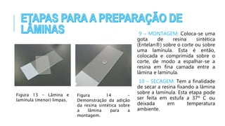 9 – MONTAGEM: Coloca-se uma
gota de resina sintética
(Entelan®) sobre o corte ou sobre
uma lamínula. Esta é então,
colocada e comprimida sobre o
corte, de modo a espalhar-se a
resina em fina camada entre a
lâmina e lamínula.
10 – SECAGEM: Tem a finalidade
de secar a resina fixando a lâmina
sobre a lamínula. Esta etapa pode
ser feita em estufa a 37º C ou
deixada em temperatura
ambiente.
Figura 13 - Lâmina e
lamínula (menor) limpas.
Figura 14 -
Demonstração da adição
da resina sintética sobre
a lâmina para a
montagem.
 