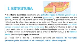 A membrana plasmática ou celular é uma película delgada e elástica que envolve a
célula. Formada por lípides e proteínas (lipoproteica), esta membrana fica em
contato, através da face externa, com o meio extracelular e, pela face interna, com o
hialoplasma da célula. Sua espessura é da ordem de 75Å e, como tal, só pode ser
observada com o auxílio da microscopia eletrônica, em que aparece como duas linhas
escuras separadas por uma linha central clara. Esta estrutura trilaminar é comum às
outras membranas encontradas na célula, sendo designada por unidade de membrana.
O modelo teórico, atual mente aceito para a estrutura da membrana, é o do mosaico
fluido, proposto por Singer e Nicholson.
De acordo com o modelo, a membrana apresenta um mosaico de moléculas
proteicas que se movimentam em uma dupla camada fluida de lípides.
 