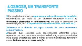  Em condições normais, a água entra e sai continuamente da célula,
difundindo-se por meio de um processo designado osmose. A
membrana plasmática é semipermeável, ou seja, é permeável ao
solvente (água), mas é impermeável aos solutos (sais, açúcares etc.).
 Osmose é a difusão de água através de uma membrana
semipermeável.
 Quando duas soluções com concentrações diferentes estão
separadas por uma membrana semipermeável, a água passa da solução
mais diluída (hipotônica) para a menos diluída (hipertônica), tendendo
a uma isotonia entre as duas soluções.
 