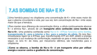 Uma hemácia possui no citoplasma uma concentração de K+ vinte vezes maior do
que o plasma circundante e este, por sua vez, tem concentração de Na+ vinte vezes
maior do que a hemácia.
Para manter essa diferença de concentração iônica, a célula continuamente absorve
K+ e elimina Na+, através de um transporte ativo conhecido como bomba de
Na+e K+. Uma proteína conhecida como Na+e K+ ATPase funciona como bomba,
transportando K+ para o interior e Na+ para o exterior da célula. Os íons Na+
intracelulares ligam-se à ATPase, que, transformando ATP em ADP, obtém a energia
necessária à sua mudança de conformação, expelindo-os para o meio extracelular. A
seguir, os íons K+ do meio, por mecanismo idêntico, são transferidos para o
citoplasma.
Como se observa, a bomba de Na+e K+ é um transporte ativo por utilizar
energia e ocorrer contra o gradiente de concentração.
 