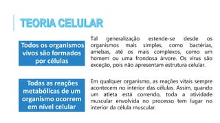 Todos os organismos
vivos são formados
por células
Tal generalização estende-se desde os
organismos mais simples, como bactérias,
amebas, até os mais complexos, como um
homem ou uma frondosa árvore. Os vírus são
exceção, pois não apresentam estrutura celular.
Todas as reações
metabólicas de um
organismo ocorrem
em nível celular
Em qualquer organismo, as reações vitais sempre
acontecem no interior das células. Assim, quando
um atleta está correndo, toda a atividade
muscular envolvida no processo tem lugar no
interior da célula muscular.
 