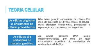 As células originam-
se unicamente de
células preexistentes
Não existe geração espontânea de células. Por
meio de processos de divisão celular, as células-
mães produzem células-filhas, provocando a
reprodução e o crescimento dos organismo.
As células são
portadoras de
material genético
As células possuem DNA (ácido
desoxirribonucleico), por meio do qual
características específicas são transferidas da
célula-mãe à célula-filha.
 