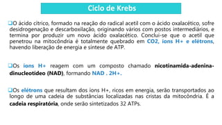 Ciclo de Krebs
O ácido cítrico, formado na reação do radical acetil com o ácido oxalacético, sofre
desidrogenação e descarboxilação, originando vários com postos intermediários, e
termina por produzir um novo ácido oxalacético. Conclui-se que o acetil que
penetrou na mitocôndria é totalmente quebrado em CO2, íons H+ e elétrons,
havendo liberação de energia e síntese de ATP.
Os íons H+ reagem com um composto chamado nicotinamida-adenina-
dinucleotídeo (NAD), formando NAD . 2H+.
Os elétrons que resultam dos íons H+, ricos em energia, serão transportados ao
longo de uma cadeia de substâncias localizadas nas cristas da mitocôndria. É a
cadeia respiratória, onde serão sintetizados 32 ATPs.
 