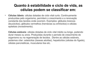 Quanto à estabilidade e ciclo de vida, as
células podem se classificar em:
• Células lábeis: células dotadas de ciclo vital curto. Continuamente
produzidas pelo organismo, permitem o crescimento e a renovação
constante dos tecidos onde ocorrem. Exemplos: glóbulos brancos
(leucócitos), glóbulos vermelhos (hemácias ou eritrócitos) e células
epiteliais (revestimento).
Células estáveis: células dotadas de ciclo vital médio ou longo, podendo
durar meses ou anos. Produzidas durante o período de crescimento do
organismo ou na regeneração de tecidos . Dentre as células estáveis,
podemos citar: osteócitos (ósseas adultas), hepatócitos (células do fígado),
células pancreáticas, musculares lisa etc.
 