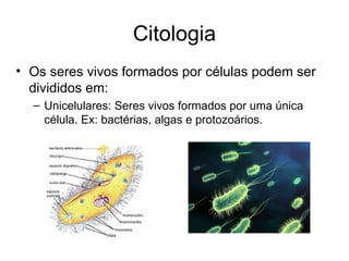 Citologia
• Os seres vivos formados por células podem ser
divididos em:
– Unicelulares: Seres vivos formados por uma única
célula. Ex: bactérias, algas e protozoários.
 