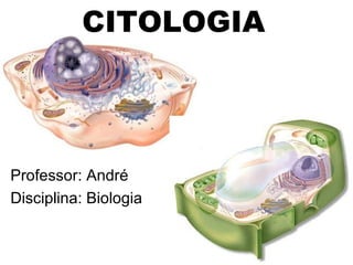 CITOLOGIA
Professor: André
Disciplina: Biologia
 