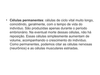 • Células permanentes: células de ciclo vital muito longo,
coincidindo, geralmente, com o tempo de vida do
indivíduo. São produzidas apenas durante o período
embrionário. Na eventual morte dessas células, não há
reposição. Essas células simplesmente aumentam de
volume, acompanhando o crescimento do indivíduo.
Como permanentes, podemos citar as células nervosas
(neurônios) e as células musculares estriadas.
 