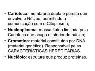 • Carioteca: membrana dupla e porosa que
envolve o Núcleo, permitindo a
comunicação com o Citoplasma;
• Nucleoplasma: massa fluída limitada pela
Carioteca que ocupa o interior do núcleo;
• Cromatina: material constituído por DNA
(material genético). Responsável pelas
CARACTERÍSTICAS HEREDITÁRIAS.
• Nucléolo: estrutura que produz proteínas.
 