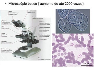 • Microscópio óptico ( aumento de até 2000 vezes)
 