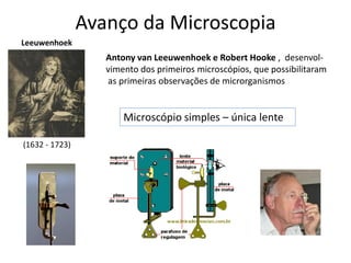 Avanço da Microscopia
Antony van Leeuwenhoek e Robert Hooke , desenvol-
vimento dos primeiros microscópios, que possibilitaram
as primeiras observações de microrganismos
(1632 - 1723)
Leeuwenhoek
Microscópio simples – única lente
 