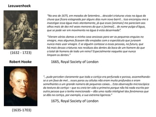 (1632 - 1723)
Leeuwenhoek
(1635-1703)
Robert Hooke
“...pude perceber claramente que toda a cortiça era perfurada e porosa, assemelhando-
se a um favo de mel... esses poros ou células não eram muito profundos e eram
semelhantes a um grande número de pequenas caixas... Esta observação microscópica
da textura da cortiça – que eu creio ter sido a primeira porque não há nada escrito por
outra pessoa que o tenha mencionado – dão uma razão inteligível dos fenómenos que
se dão na cortiça, por exemplo, a sua extrema ligeireza.”
“No ano de 1675, em meados de Setembro... descobri criaturas vivas na água da
chuva que ficara estagnada por alguns dias num novo barril... Isso encorajou-me a
investigar essa água mais atentamente, já que esses [animais] me pareciam aos
olhos mais de dez mil vezes menores do que o [animal]... de nome pulga-d'água,
que se pode ver em movimento na água à vista desarmada”.
“Vieram várias damas a minha casa ansiosas para ver as pequenas enguias no
vinagre, mas algumas ficavam tão enojadas com o espectáculo que juravam
nunca mais usar vinagre. E se alguém contasse a essas pessoas, no futuro, que
há mais dessas criaturas nos resíduos dos dentes da boca de um homem do que
o total de homens de todo um reino? Especialmente naqueles que nunca
limpam os dentes.”
1665, Royal Society of London
1675, Royal Society of London
 